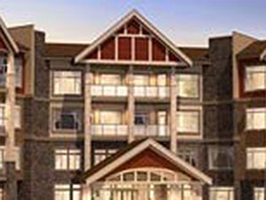 Project Windsor